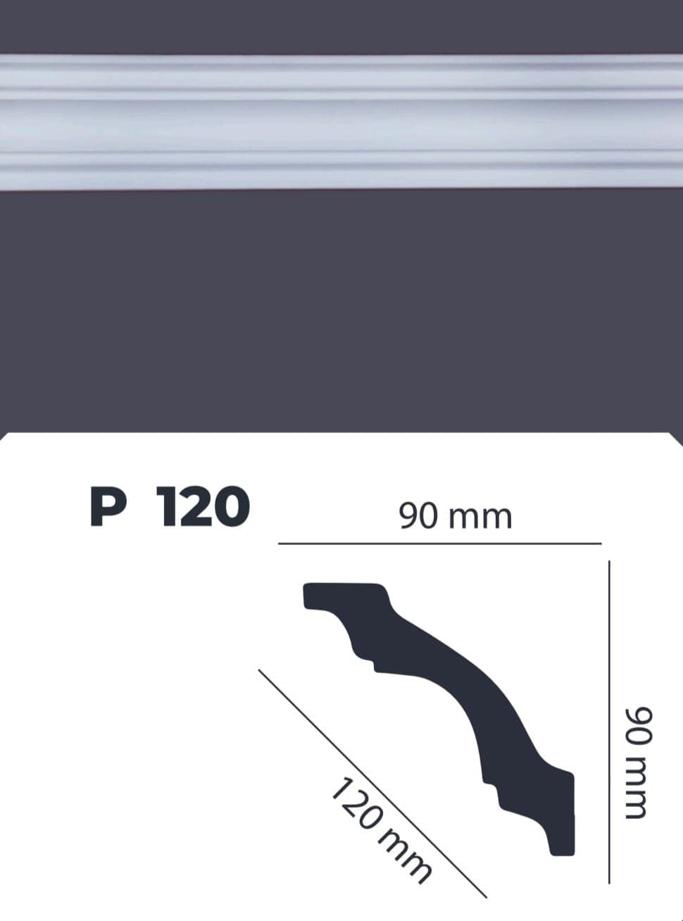 Paduqa P-120 Panapol