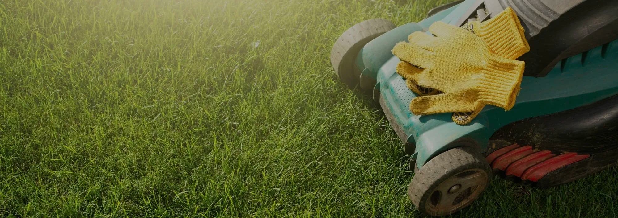 What do you need to pay attention to when choosing a mower?