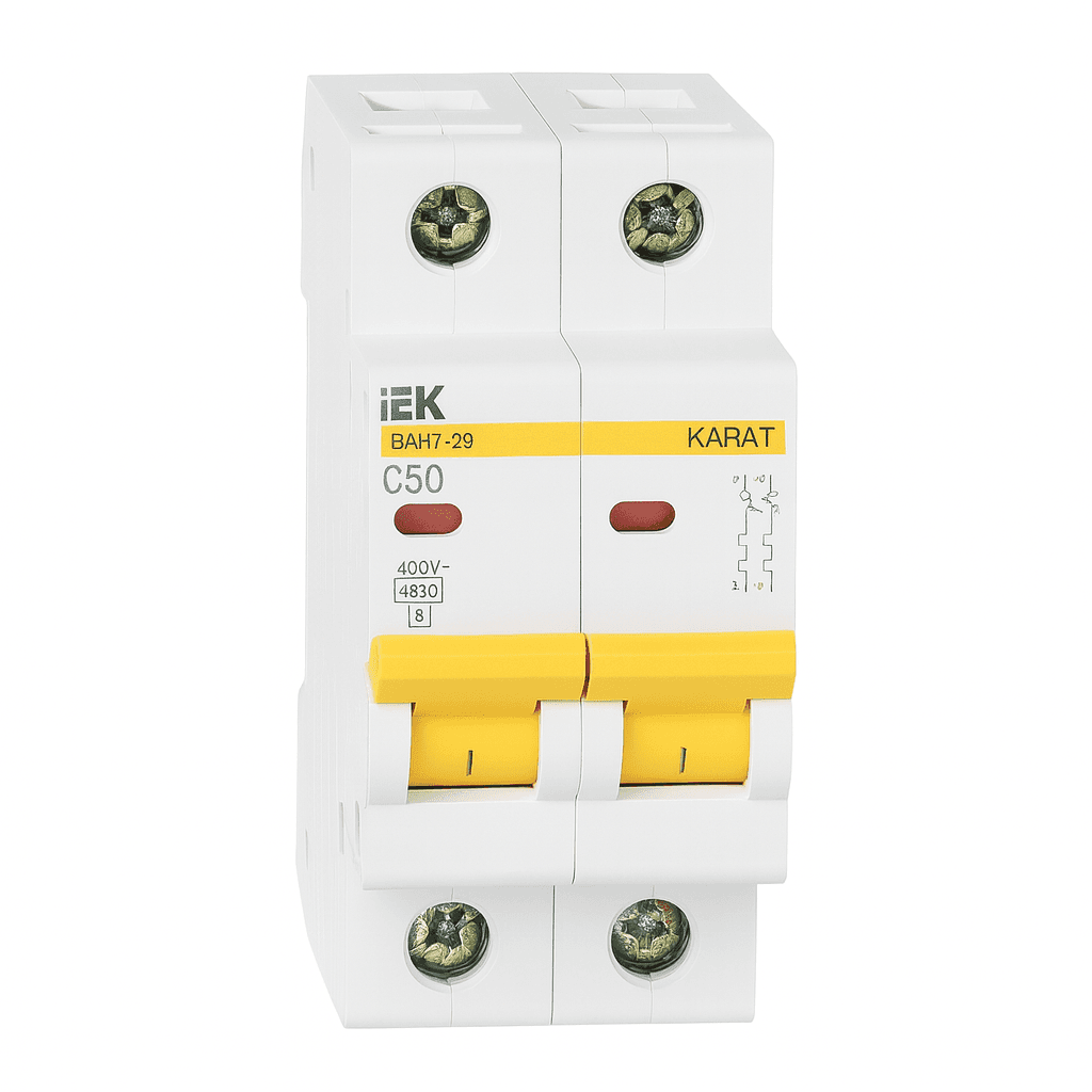 Avtomatik elektrikaçarı ВА47-29 2P50A 4,5кА х-ка C İEK
